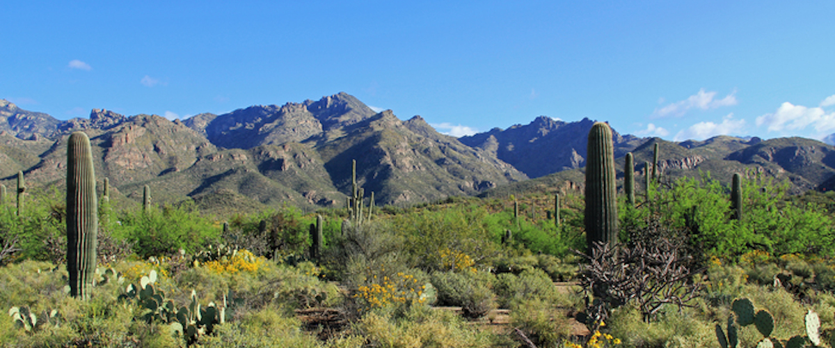 Banner image of Paradise